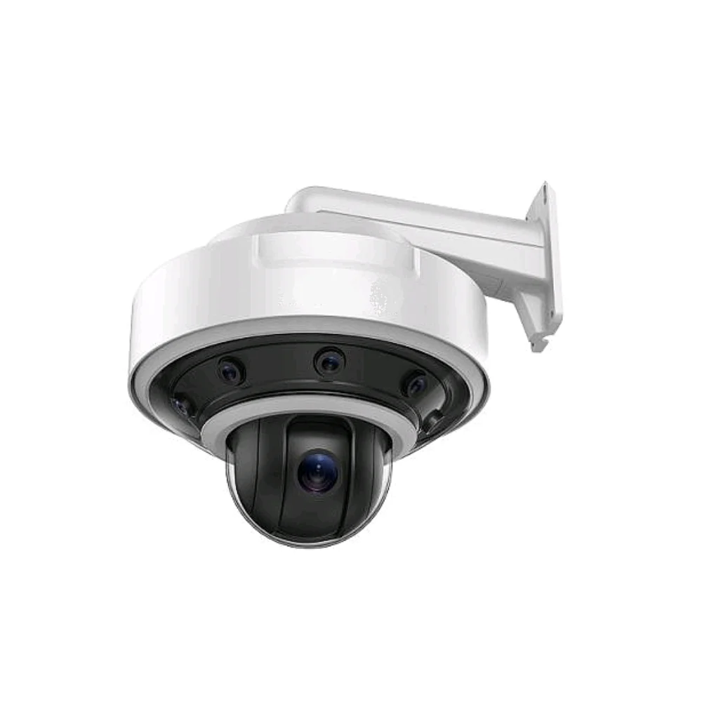 Seguridad y Vigilancia